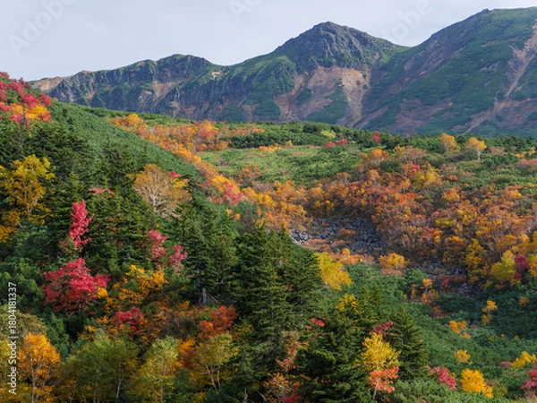 Obraz 北海道・上富良野の十勝岳温泉「凌雲閣」から望む十勝岳の紅葉風景（資料・教育用途）