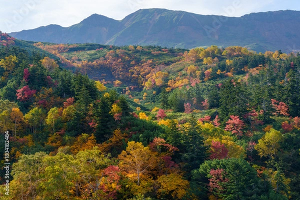 Obraz 北海道・上富良野の十勝岳温泉「凌雲閣」から望む十勝岳の紅葉風景（資料・教育用途）