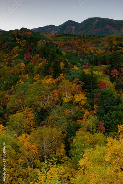 Obraz 北海道・上富良野の十勝岳温泉「凌雲閣」から望む十勝岳の紅葉風景（資料・教育用途）