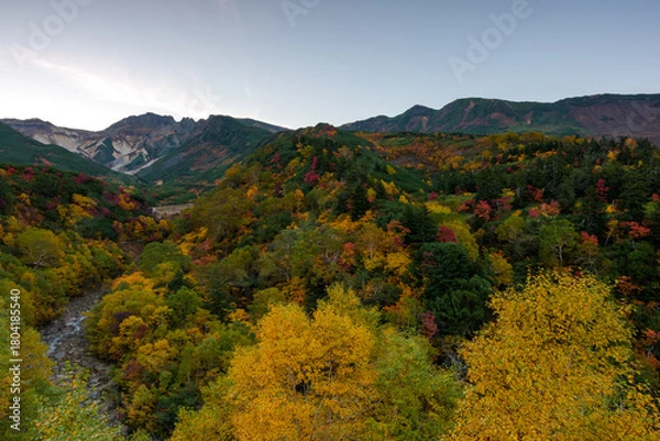 Obraz 北海道・上富良野の十勝岳温泉「凌雲閣」から望む十勝岳の紅葉風景（資料・教育用途）