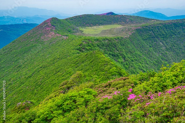 Fototapeta 大船山登山道から望む米窪