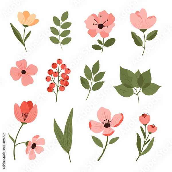 Fototapeta A collection of delicate botanical illustrations featuring various flowers and green leaves for artistic designs.