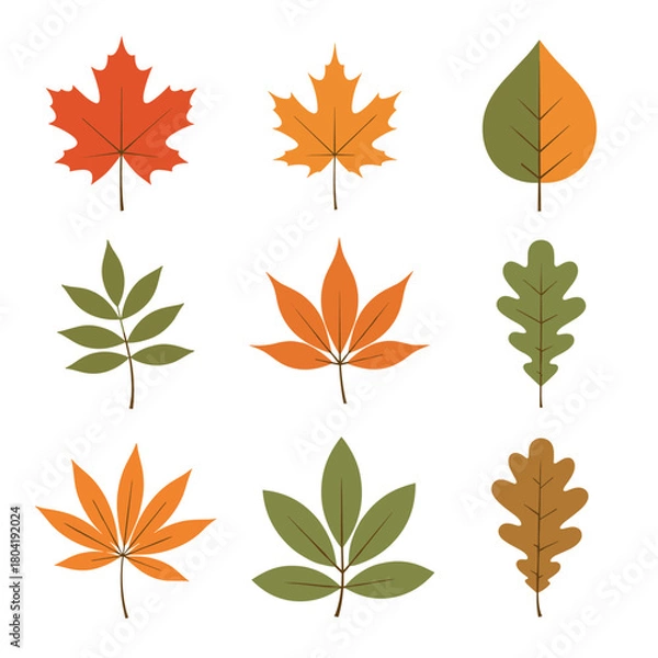 Fototapeta A collection of autumn leaves in various colors and shapes representing seasonal change and natural beauty.