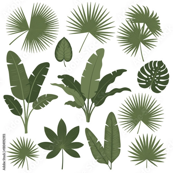 Fototapeta A collection of assorted tropical green palm leaves and foliage in a flat illustration style.