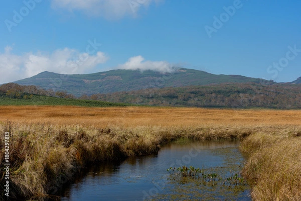 Obraz 雨竜沼湿原の草紅葉と池塘が広がる秋景色（北海道）