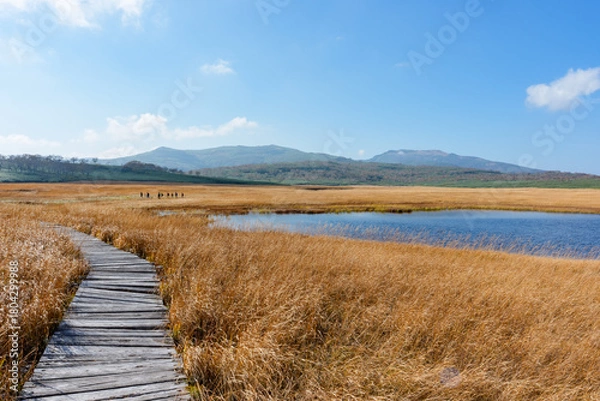 Obraz 雨竜沼湿原の草紅葉と池塘が広がる秋景色（北海道）