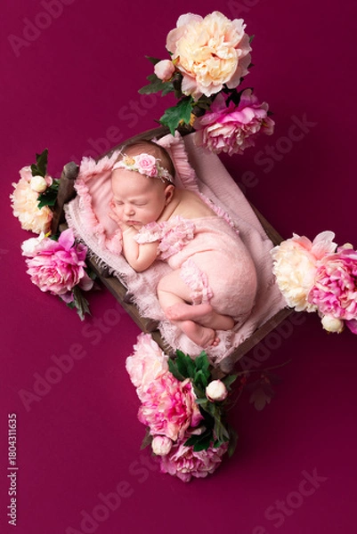 Fototapeta Sweet Dreams Newborn Baby in Floral Bed