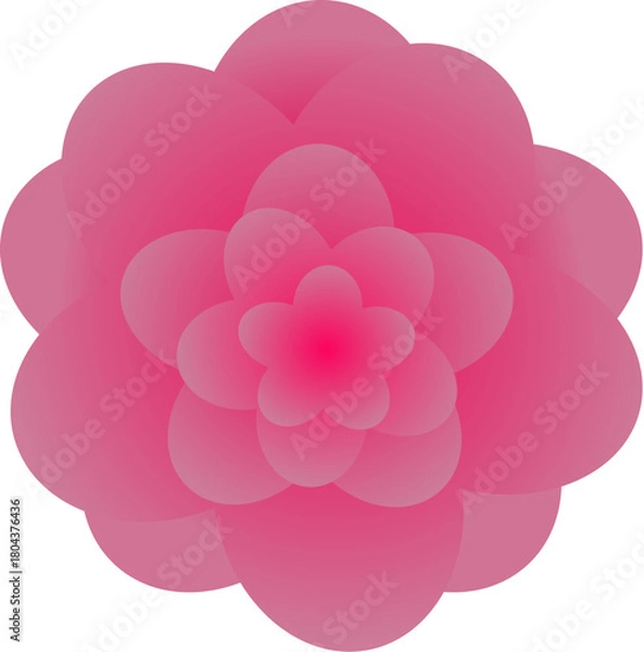 Obraz Pink peony flower