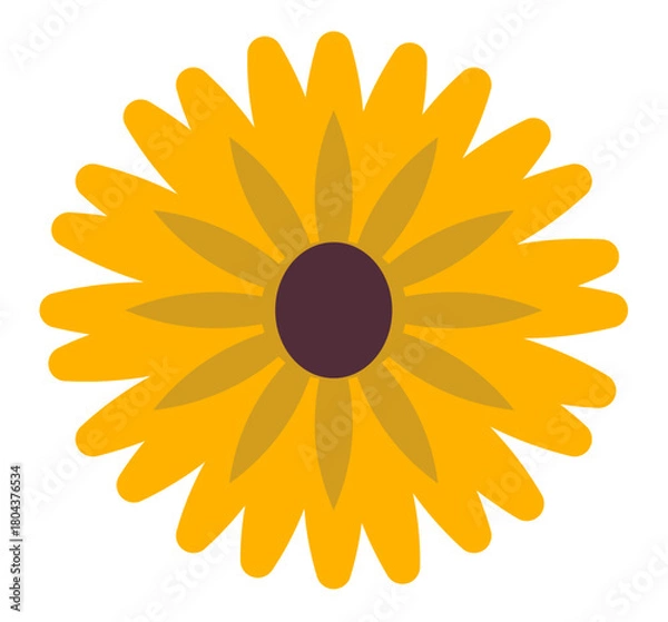 Obraz Sun flower vector illustration