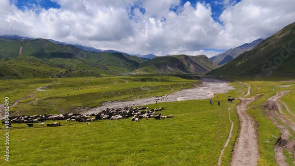 Fototapeta a drone flies over a mountain river in a mountain gorge in the valley of marmots in the Dzhily-Su tract in the Caucasus at the foot of Elbrus