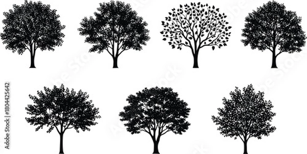 Fototapeta Collection of detailed black tree silhouettes isolated on white background for landscape and nature design.