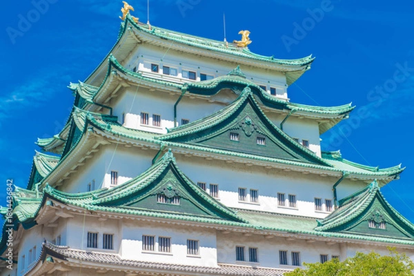 Fototapeta 名古屋城の大天守