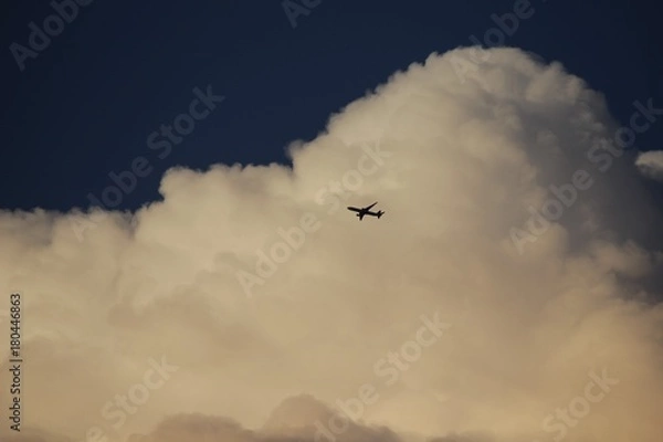 Fototapeta フライト