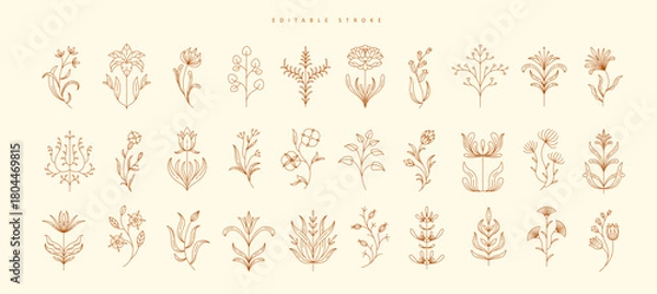 Fototapeta Set of boho simple geometric branch and flowers. Botanic design elements in wavy and vintage style. Leaves and branches print for logo, social media or packaging