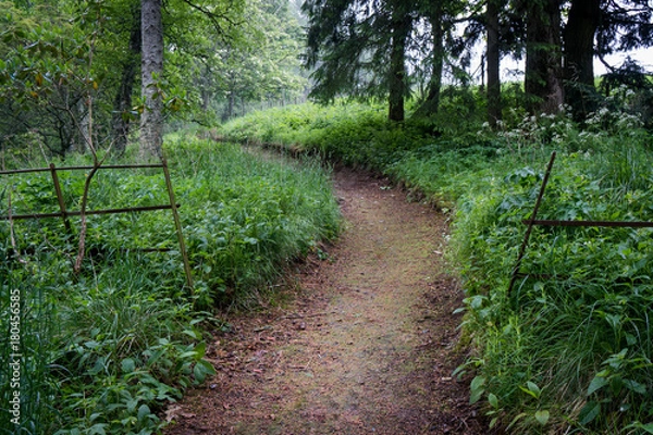 Fototapeta Garden Path