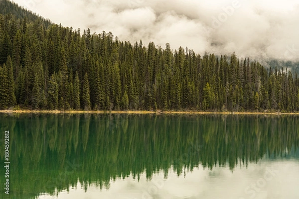 Fototapeta Grüner See