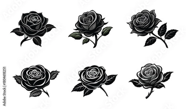 Fototapeta Collection of Six Stylized Black and White Roses Isolated on White Background