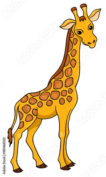Fototapeta Giraffe