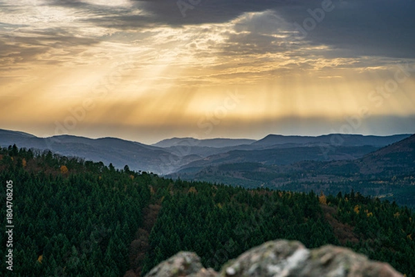 Fototapeta Autumn forest colorful view
