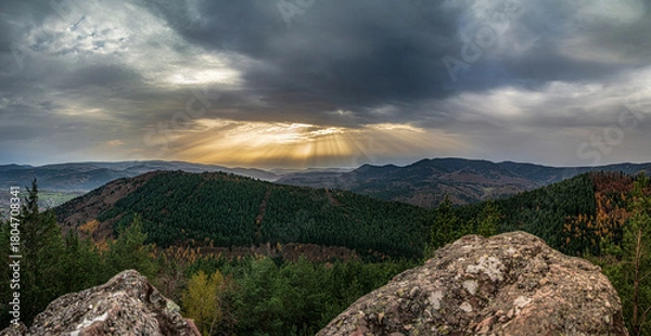 Obraz Autumn forest colorful view