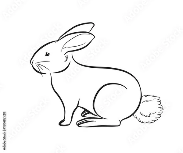 Obraz Cartoon Rabbit Outlining Vector Illustration