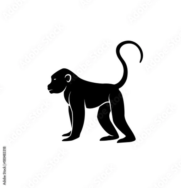 Obraz Monkey Silhouette Vector