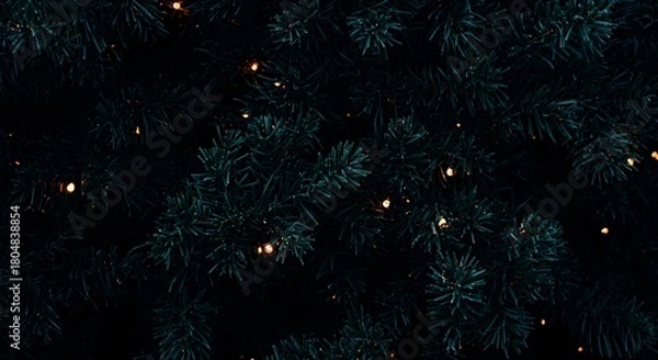 Fototapeta A close up view of a christmas tree with small lights scattered throughout the branches