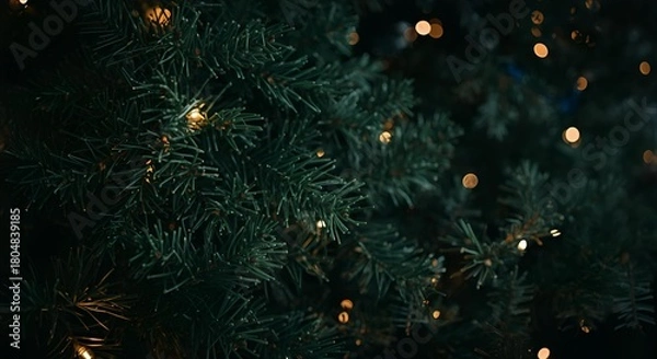 Fototapeta A close up view of a christmas tree with small lights illuminating the dark branches