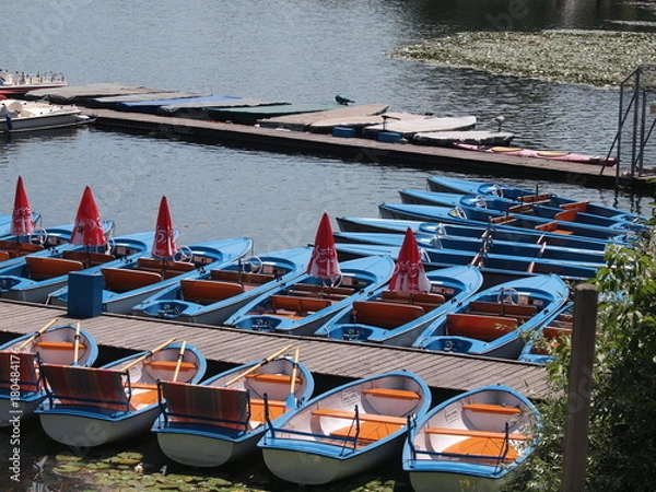 Obraz OLYMPUS DIGITAL CAMERA