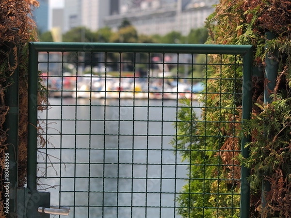 Obraz OLYMPUS DIGITAL CAMERA