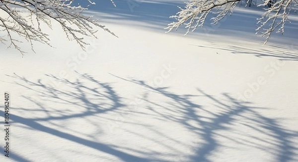 Obraz Snow covered branches casting long shadows on a bright winter day