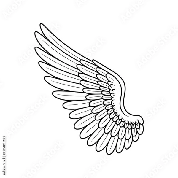 Fototapeta A simple line drawing of a single white bird wing on a white background.