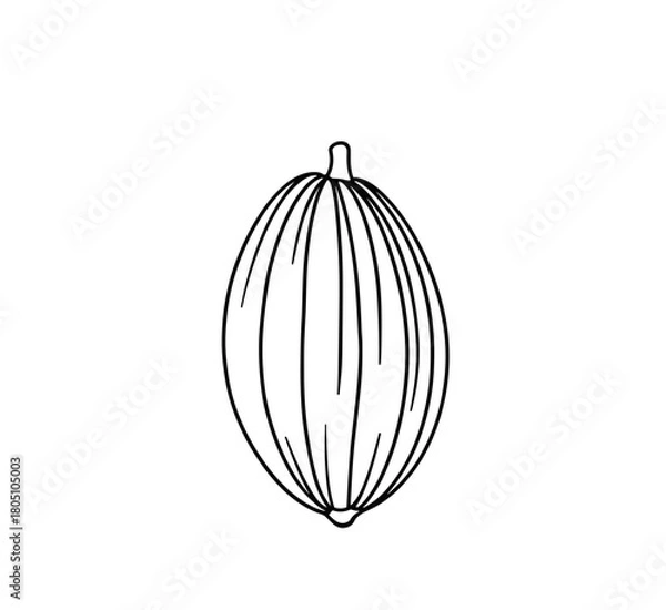 Obraz Cacao pod illustration in minimalist black and white design  