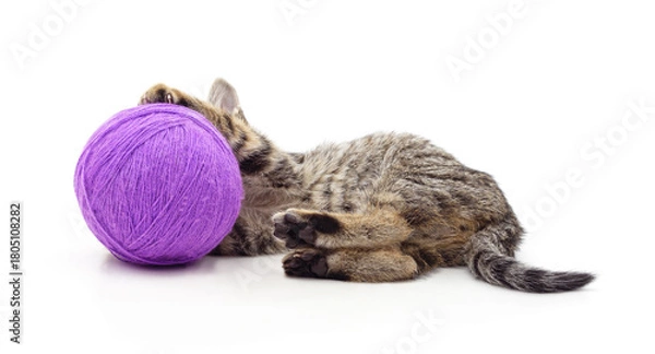 Fototapeta A gray kitten hiding behind a purple ball of yarn.