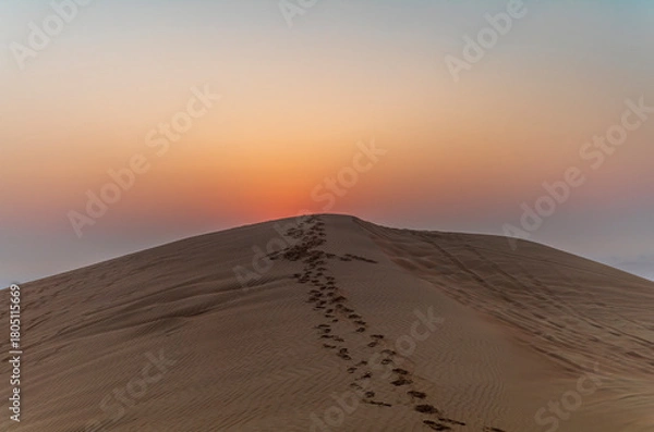 Fototapeta The sun rising on the pristine and untouched red dunes in the desert near Dubai