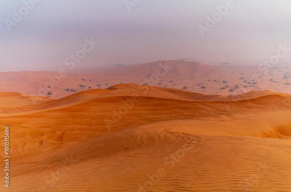 Fototapeta The sun rising on the pristine and untouched red dunes in the desert near Dubai