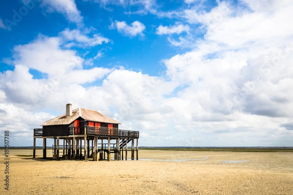 Obraz Cabane Tchanquée Noir