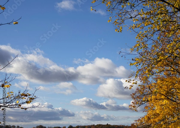 Obraz autumn sunny day, 