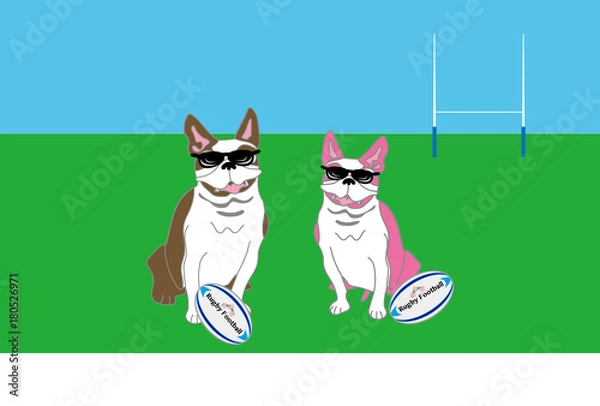 Obraz ラグビーボールとサングラスのポップな犬のイラストのポストカード