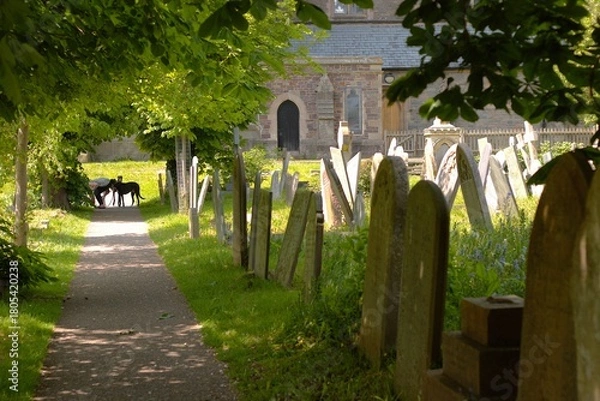 Obraz englischer Friedhof