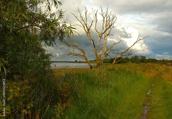 Obraz Landschaft bei Harwich
