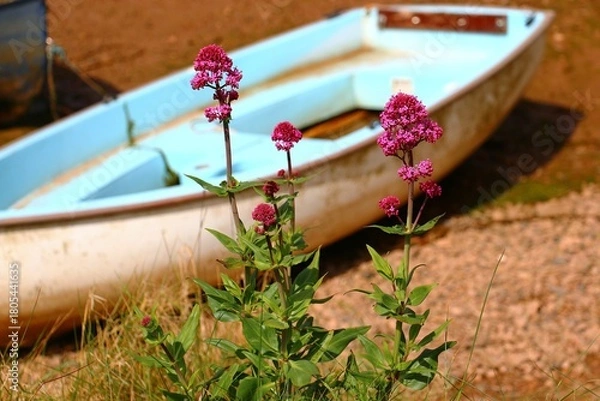 Obraz Blumen vor Boot