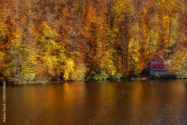 Fototapeta Colorful Autumn Landscape with Orange Leaves and Tree Reflections on a Calm Lake