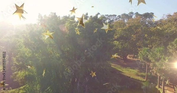 Obraz Bathing tree canopy on sunlit park with clearing, road, golden stars, lens flare, ridge treeline