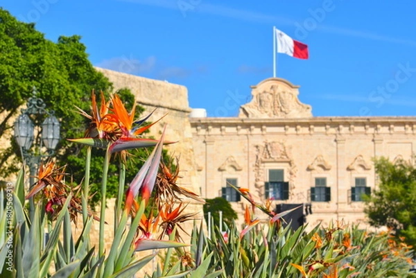 Obraz Maltese flag waving on a baroque landmark with stonework and coats of arms in Valetta Birds of paradise flower outside Auberge de Castille with its cannons is the office of the Prime Minister of Malta
