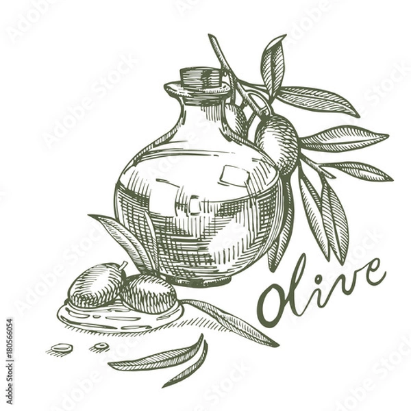 Fototapeta A branch of ripe olives is juicy poured with oil. Farmers market menu design. Organic food poster. Vintage hand drawn sketch vector illustration. Linear graphic.