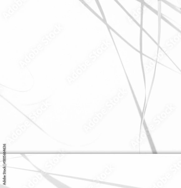 Obraz Grey wall shadow background kitchen floor white abstract studio concrete table white texture light texture mockup product marble room display plant cement minimal shelft bar leaves backdrop