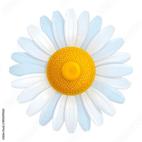 Fototapeta A stylized, isolated daisy, showcasing a bright yellow center and white to light blue petals, facing forward