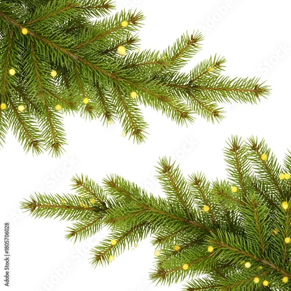 Obraz Festive evergreen pine branches with holiday lights decoration for seasonal banner design template isolated PNG with Transparent Background