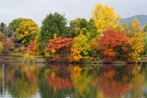 Obraz 秋彩映す中島公園の湖畔